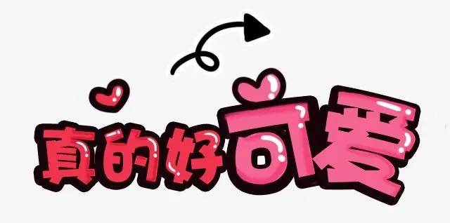 上海水帘洞工作室是真的吗?价格是多少?