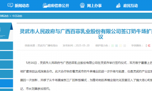 百菲乳业：生鲜乳自给率仅5%，水牛数量成谜