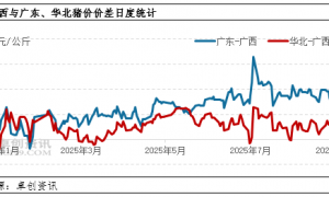 四重压力下广西猪价成全国“洼地” 未来或仍有下滑空间